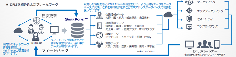 Daily Feedback Loop System